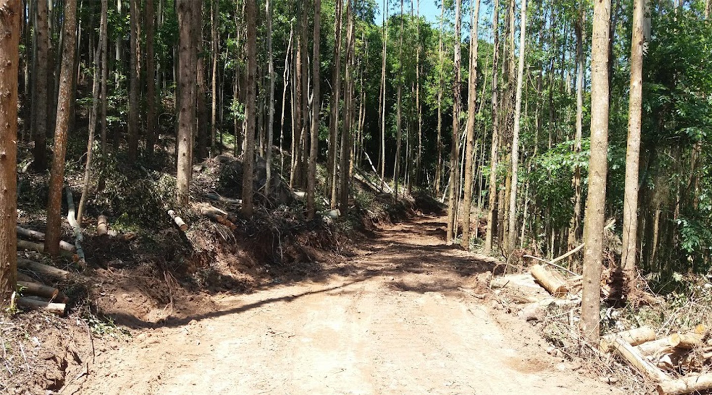 abertura de estrada lima terraplenagem3_